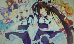 猫娘动漫,萌动时光，探寻虚拟与现实的奇幻之旅